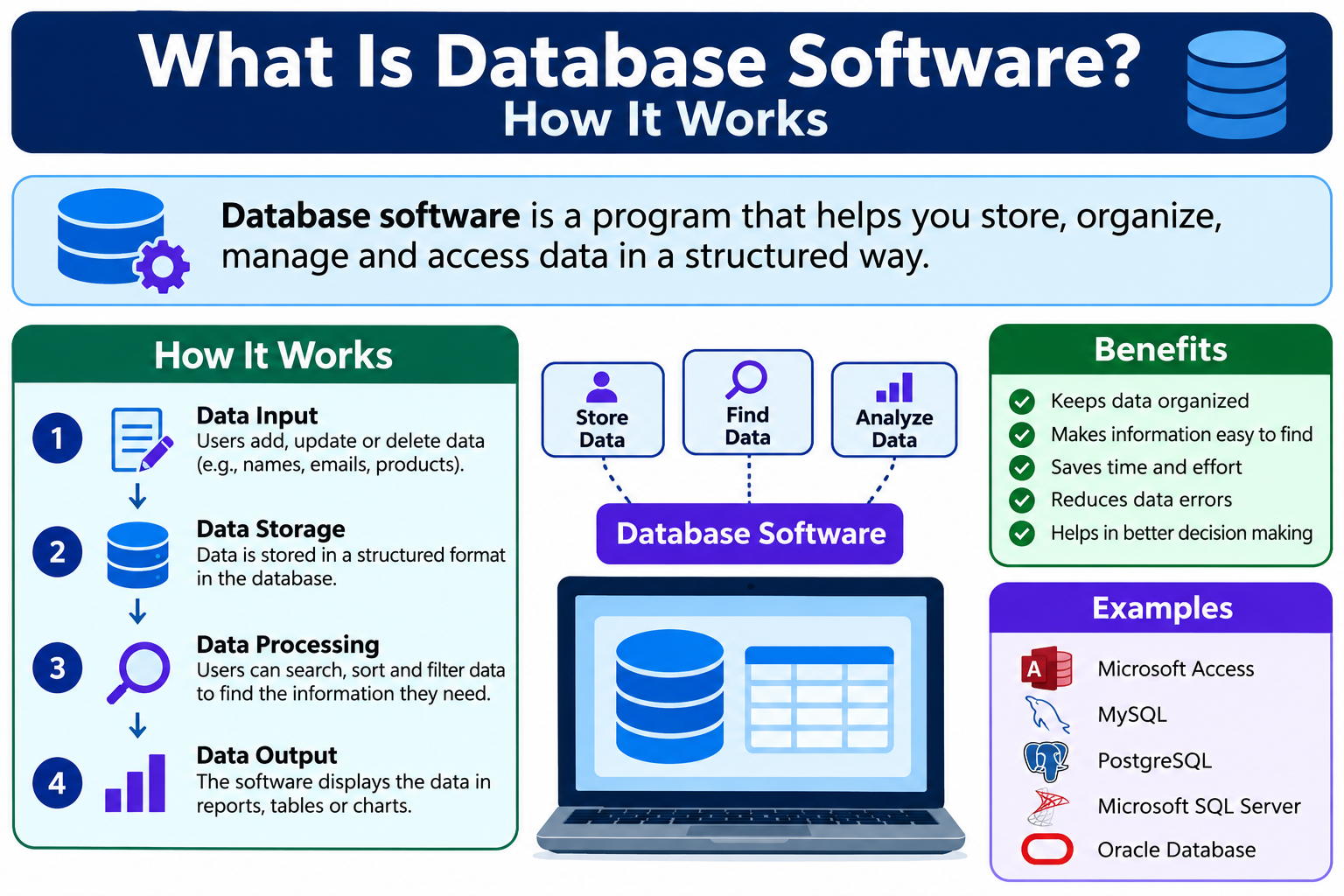 What Is Database Software? Types, Uses and Examples